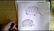 How to draw an Echidna