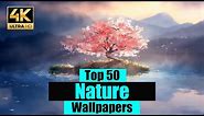 Top 50 Nature Free Live Wallpapers For Pc Windows 10 Desktop Customization