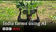 Artificial intelligence comes to farming in India | BBC News