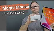 Should you Buy a Magic Mouse for an iPad? | Using a Mouse with an iPad pro