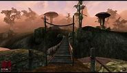 The Elder Scrolls III: Morrowind | PC Gameplay | 1080p HD | Max Settings