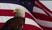 WAVING AMERICAN FLAG WITH BAD EAGLE
