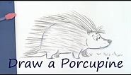 Draw a Cute Porcupine - Cartoon Animals for Beginners