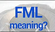 FML Meaning - What does FML mean?