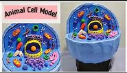 Animal Cell 3D Model | Using Cardboard | For School Projects | @simpleandeasyprojects9476
