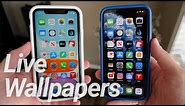 iPhone 11 & 11 Pro: New Live Wallpapers!