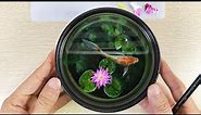 3D Goldfish Painting On Resin Layers