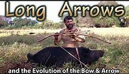 Primitive Hunting with Long Arrows