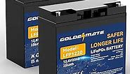 GOLDENMATE 12V 20Ah Lithium LiFePO4 Deep Cycle Battery (2-Pack), 2000-7000 Cycles Lithium Iron Phosphate Rechargeable Battery with BMS for Solar, Trolling Motor, Fish Finder, Power Wheels, Camping