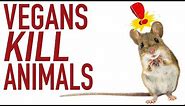 Do Vegans Kill More Animals Than Meat Eaters?