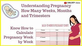 How to Calculate Your Pregnancy by Weeks, Months & Trimesters|Weeks into Months|Due Date Calculator