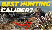 How To Choose The BEST Hunting Caliber