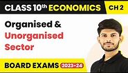 Organised and Unorganised Sector | Sectors Of The Indian Economy | Economics | Class 10th (2023-24)