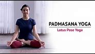 Padmasana Yoga | Lotus Pose Yoga | Steps | Benefits | Yogic Fitness