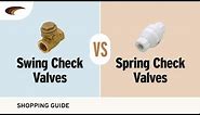 Differences Between Swing Check Valves and Spring Check Valves