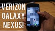 Verizon Galaxy Nexus First Impressions