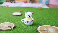 MUST WATCH!! LOOK HOW CUTE THIS MALTESE IS!!! - Teacup Puppy