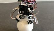 ballbot