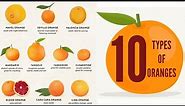 Types of Oranges / 10 types of Oranges