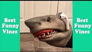 1 Hour of Shark Puppet Tik Tok 2024 | Best Shark Puppet Tik Tok