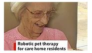 So cute 🤖😍 These care home residents love doting on their furry robot pets . . . #bbceastmidlands #robotpet #CareHomeActivities #derby | BBC Nottingham