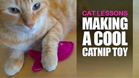 How to Make a Catnip Toy for Your Cat