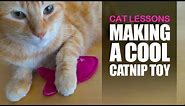 How to Make a Catnip Toy for Your Cat