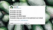 28 Funny And Relatable Tweets About Avocados