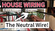 House Wiring 💡The Neutral Wire (Why is it Crucial?)