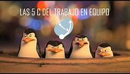 Las 5 C del trabajo en equipo