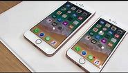 Apple iPhone 8 And 8 Plus: First look