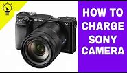 How to Charge Sony a6000 Camera | Charging the battery pack