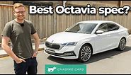 Skoda Octavia Limited Edition 2022 review | the perfect sub-RS spec? | Chasing Cars