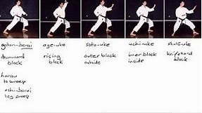 Karate Terminology: Basic Blocks Part 1