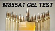 The Army's New Ammo Is a Long Distance Devastator - M855A1 Gel Test