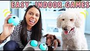 Dog Brain Games 🐶 Rainy Day Activities I do with my Dogs!