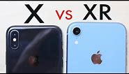 iPHONE XR Vs iPHONE X CAMERA TEST! (Photo Comparison)