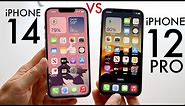 iPhone 14 Vs iPhone 12 Pro! (Comparison) (Review)