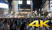 Shibuya Crossing at Night - 4K60p Ultra HD