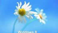 Evolution of Windows default wallpapers (XP to 11)