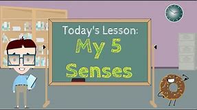 Five Senses - Learn Five Senses for Preschool and Kindergarten - Five Senses Vocabulary For Kids