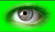 Beautiful Eye Green Screen 👁 | Blinking Eyes Green Screen