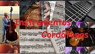 🎹 Instrumentos musicales CORDÓFONOS.