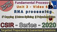 RNA Processing | 5' Capping & Polyadenylation | Types of Intron | Intron Splicing | CSIR NET 2020