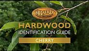Cherry Hardwood: Uses, Characteristics, and Identification Guide