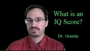What is an IQ Score (Intelligence Quotient)?