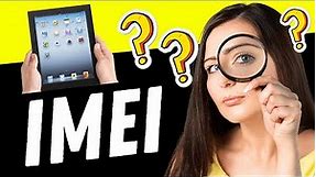 Where to Find the IMEI Number on iPad — THERE You Go!