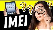 Where to Find the IMEI Number on iPad — THERE You Go!