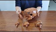 Jumbo Wooden Frog Instrument Review 2021 - Funny and Unique