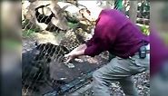 Black Panther Attacks ZooKeeper [How NOT to feed big cats]